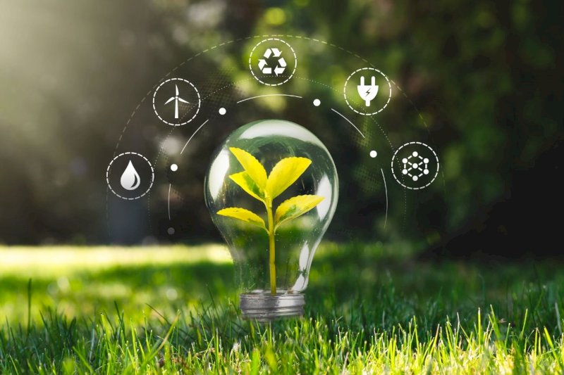 Naše spotřebitelské návyky a klima