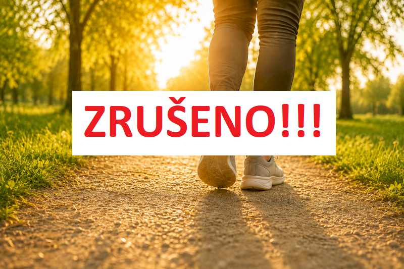 Fenomén chůze
