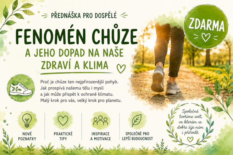 Fenomén chůze